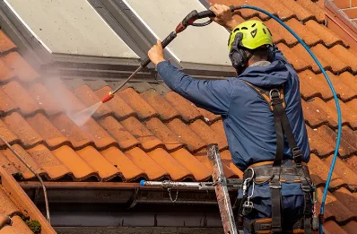 Démoussage et hydrofuge de toiture à Brizambourg
